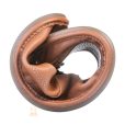 Calzado Respetuoso Adultos Magical Shoes Cameron Cognac
